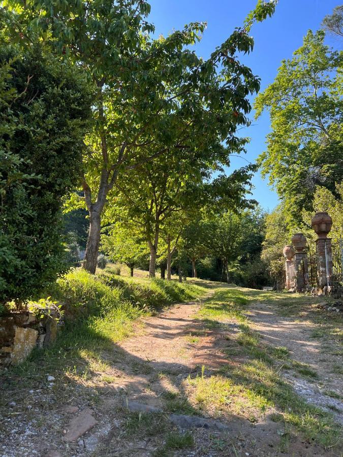 Borgo Al Canto Degli Alberi Lucques Extérieur photo